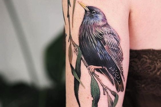 Женские тату на плече (9)